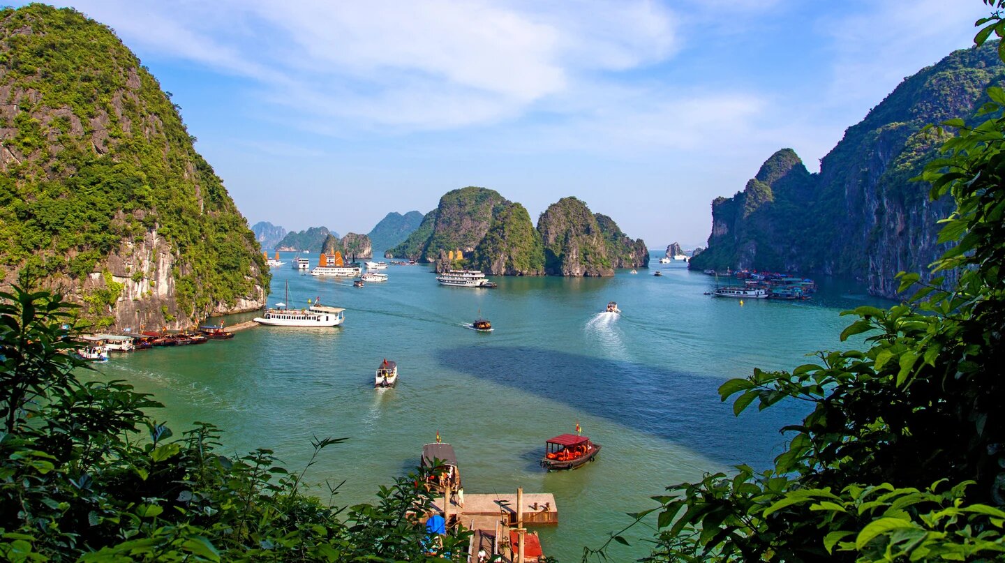 Halong Violet Cruise 2 days 1 night