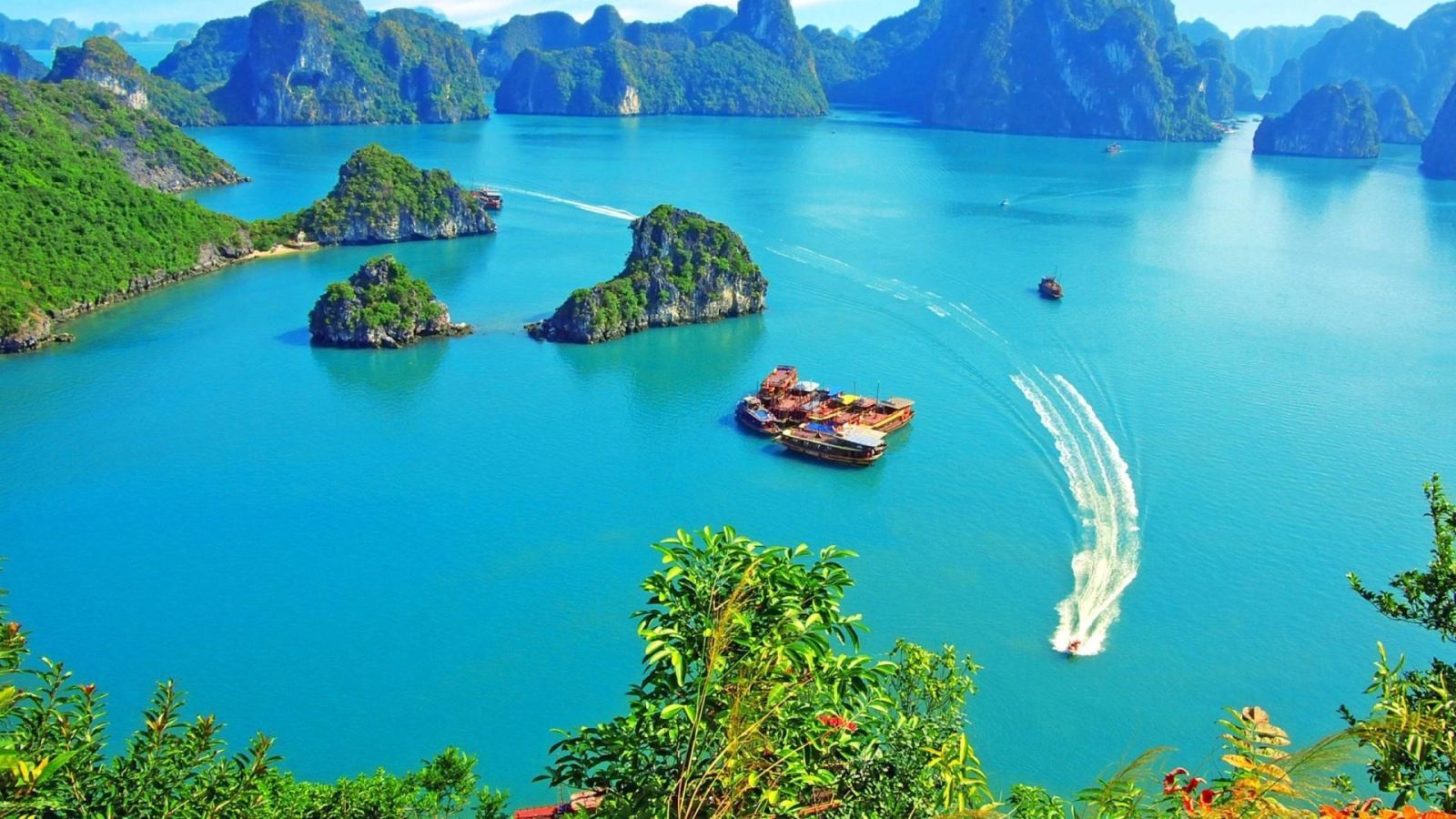 Full day Tour Halong Bay 