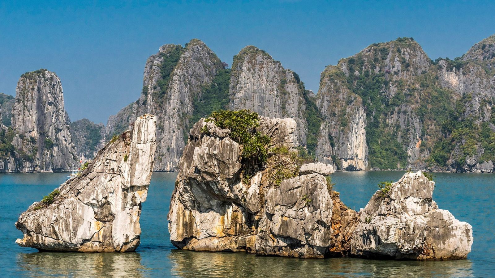 Full day Tour Halong Bay 