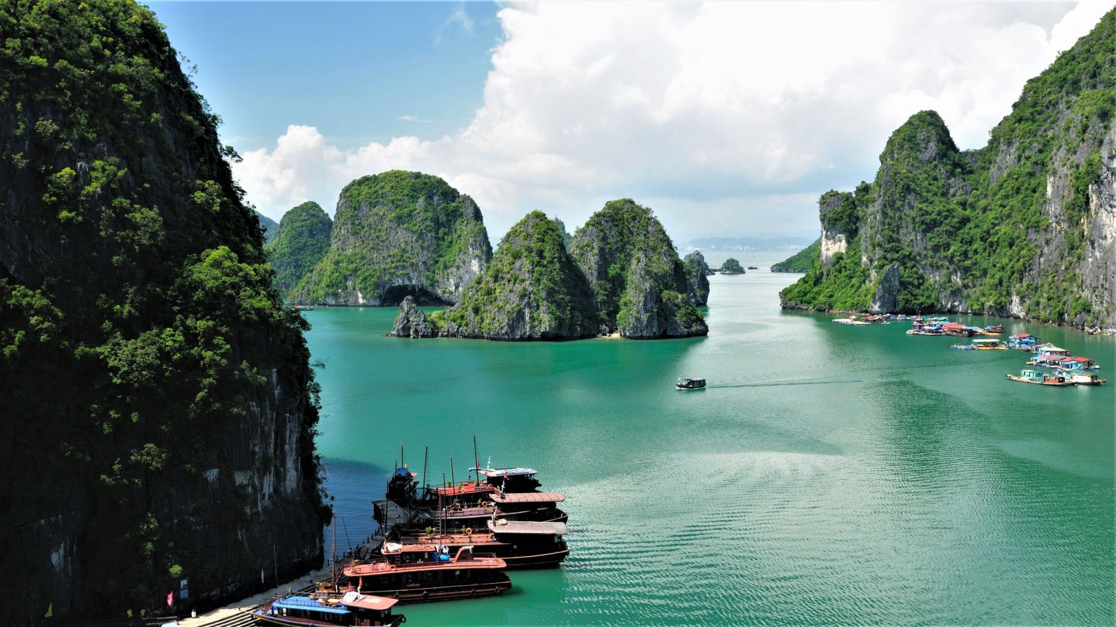 Full day Tour Halong Bay 