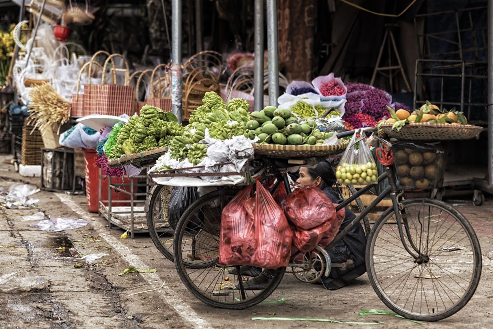 10 Days Vietnam Highlights Tour package with Luxury Halong Bay Cruise