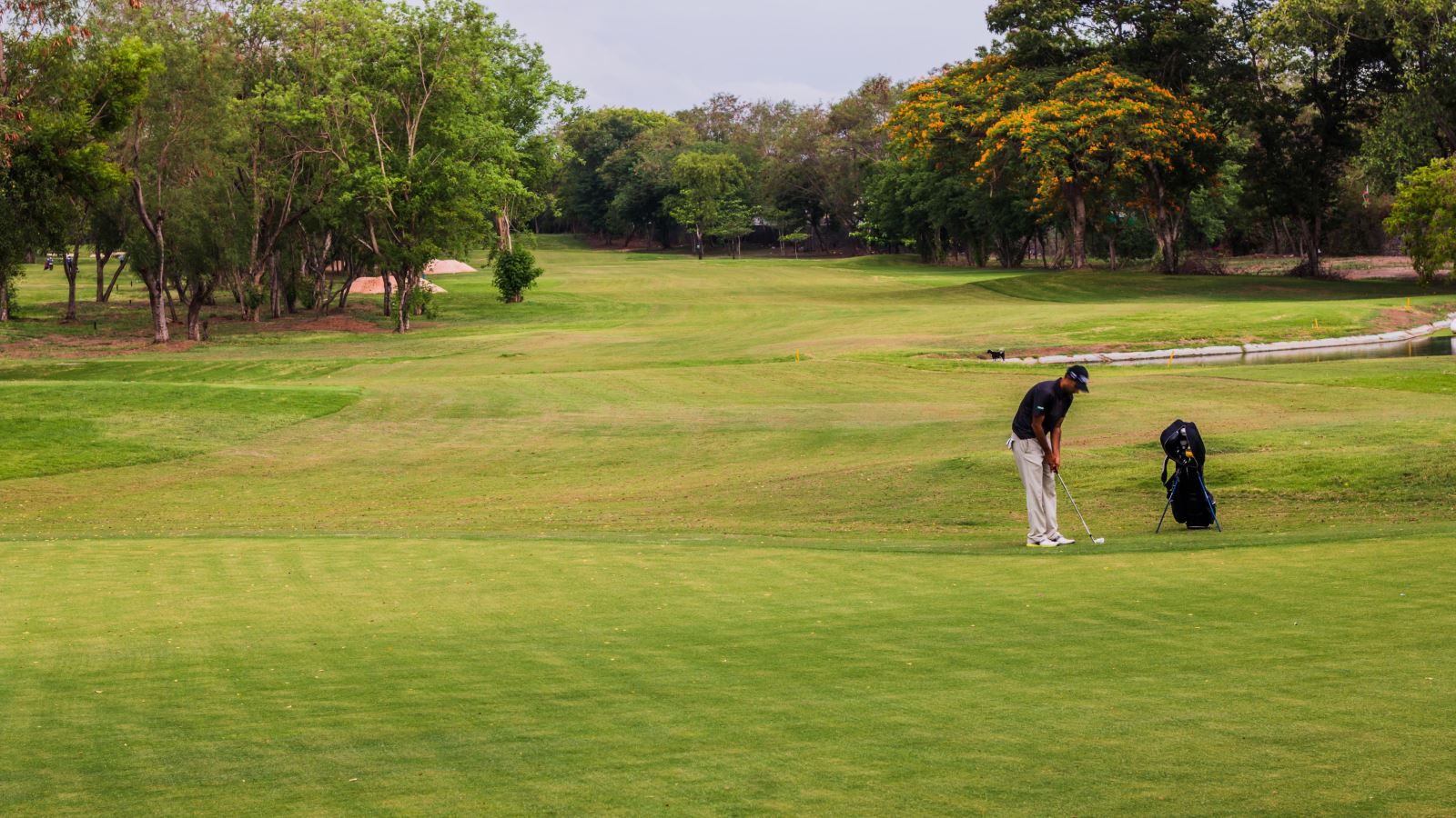 VIETNAM CENTER GOLF TOUR